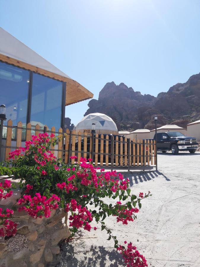 Hotel The Rock Camp Petra Wadi Musa Exterior foto
